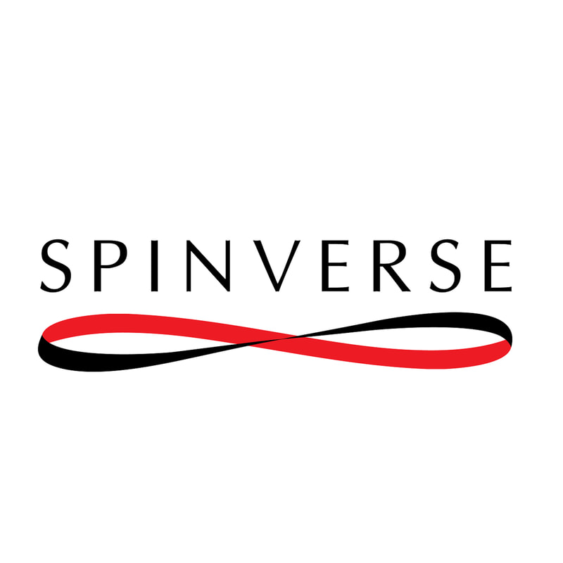 Spinverse