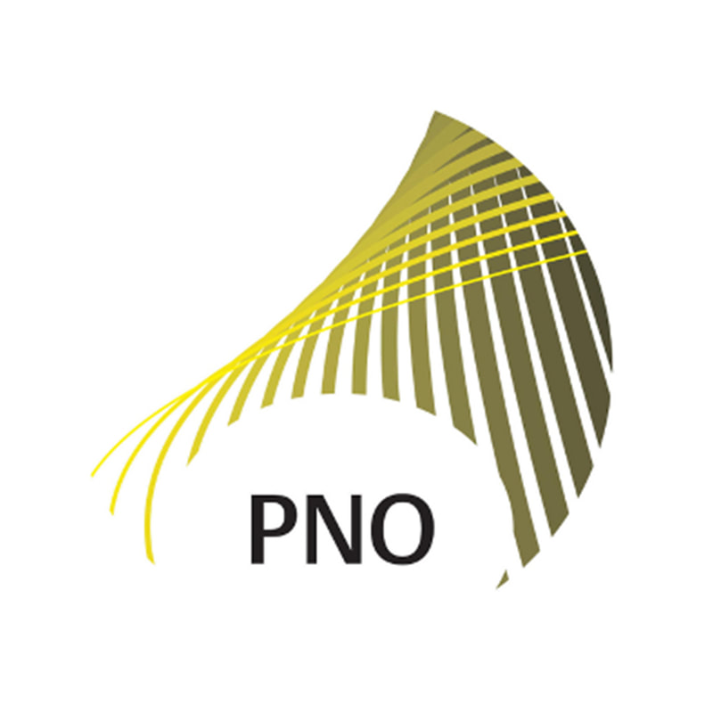 PNO Consulting